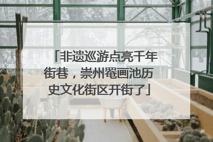 非遗巡游点亮千年街巷，崇州罨画池历史文化街区开街了