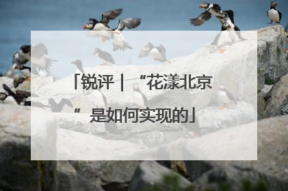 锐评｜“花漾北京”是如何实现的