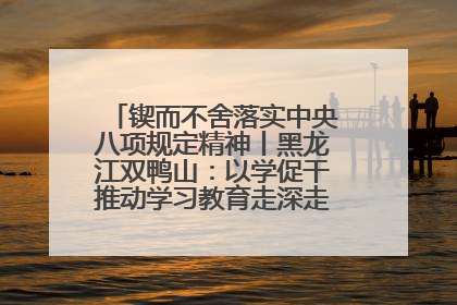 锲而不舍落实中央八项规定精神丨黑龙江双鸭山：以学促干推动学习教育走深走实 从小事入手写好“民生答卷”