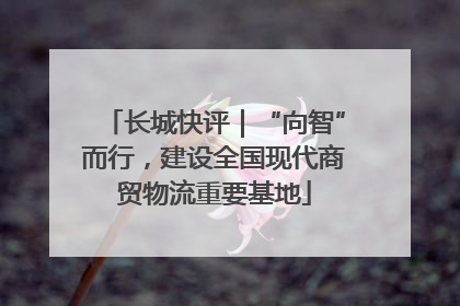 长城快评｜“向智”而行，建设全国现代商贸物流重要基地