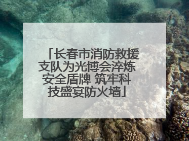 长春市消防救援支队为光博会淬炼安全盾牌 筑牢科技盛宴防火墙