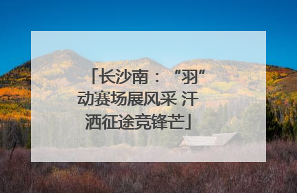 长沙南：“羽”动赛场展风采 汗洒征途竞锋芒