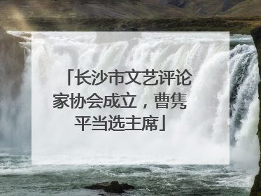 长沙市文艺评论家协会成立，曹隽平当选主席