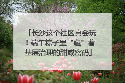 长沙这个社区真会玩！端午粽子里“藏”着基层治理的甜咸密码