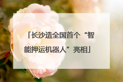 长沙造全国首个“智能押运机器人”亮相