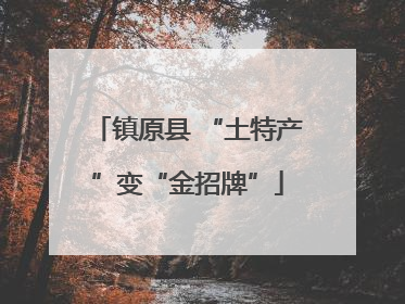 镇原县 “土特产”变“金招牌”