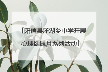 阳信县洋湖乡中学开展心理健康月系列活动
