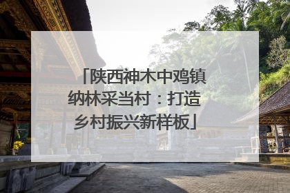 陕西神木中鸡镇纳林采当村：打造乡村振兴新样板