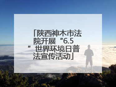 陕西神木市法院开展“6.5”世界环境日普法宣传活动