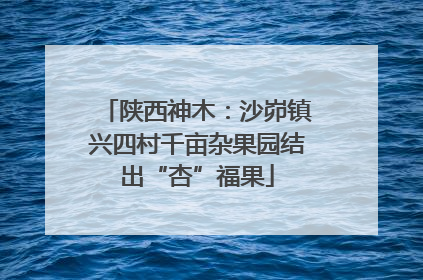 陕西神木：沙峁镇兴四村千亩杂果园结出“杏”福果