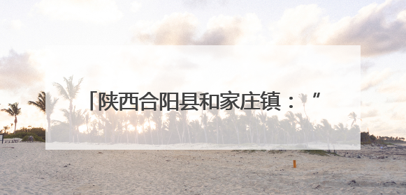 陕西合阳县和家庄镇：“小网格”汇聚“大能量” 激活基层治理新动能