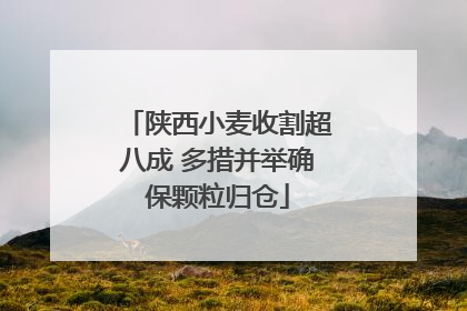 陕西小麦收割超八成 多措并举确保颗粒归仓