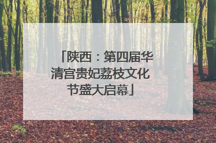 陕西：第四届华清宫贵妃荔枝文化节盛大启幕