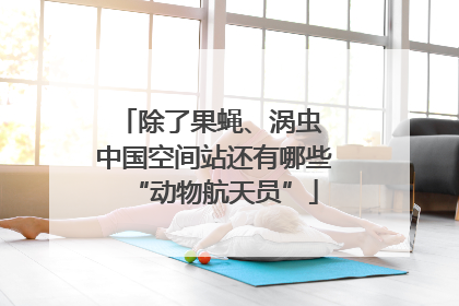 除了果蝇、涡虫 中国空间站还有哪些“动物航天员”