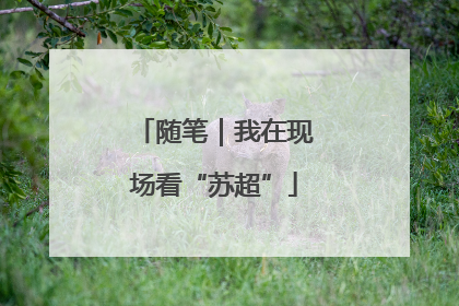 随笔｜我在现场看“苏超”