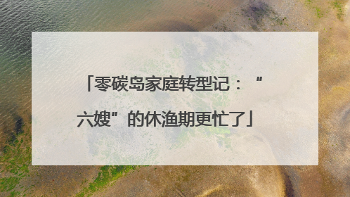 零碳岛家庭转型记：“六嫂”的休渔期更忙了