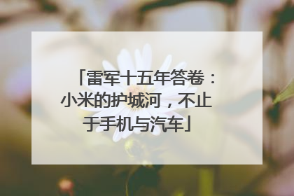 雷军十五年答卷：小米的护城河，不止于手机与汽车