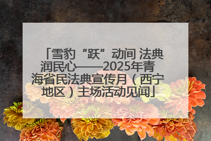 雪豹“跃”动间 法典润民心——2025年青海省民法典宣传月（西宁地区）主场活动见闻