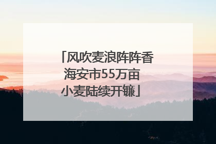 风吹麦浪阵阵香 海安市55万亩小麦陆续开镰