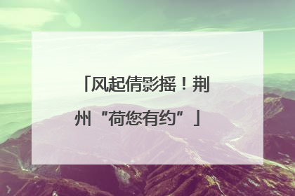 风起倩影摇！荆州“荷您有约”