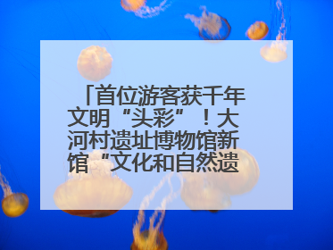 首位游客获千年文明“头彩”！大河村遗址博物馆新馆“文化和自然遗产日”璀璨启幕