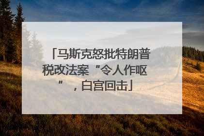 马斯克怒批特朗普税改法案“令人作呕”，白宫回击