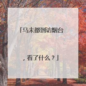 马未都到访烟台，看了什么？