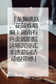 龙狮跳跃、花鼓戏唱响！湖南有色金属职院这场沉浸式非遗游园活动很带感