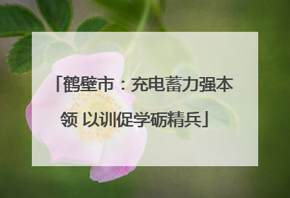 鹤壁市：充电蓄力强本领 以训促学砺精兵