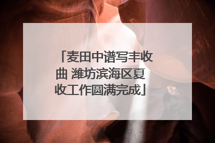 麦田中谱写丰收曲 潍坊滨海区夏收工作圆满完成