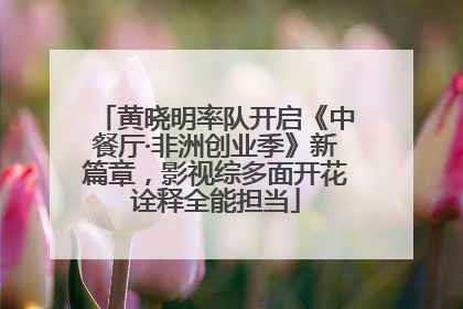 黄晓明率队开启《中餐厅·非洲创业季》新篇章，影视综多面开花诠释全能担当