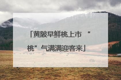 黄陂早鲜桃上市 “桃”气满满迎客来