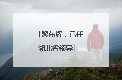 黎东辉，已任湖北省领导