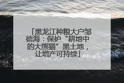 黑龙江种粮大户邹德海：保护“耕地中的大熊猫”黑土地，让增产可持续