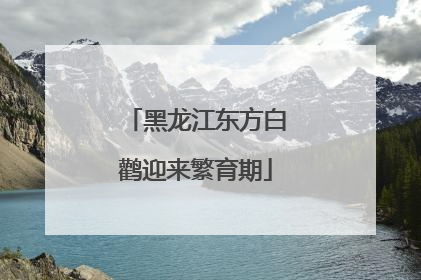 黑龙江东方白鹳迎来繁育期