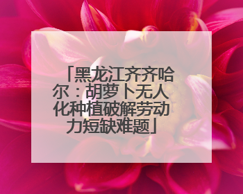 黑龙江齐齐哈尔：胡萝卜无人化种植破解劳动力短缺难题