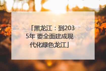 黑龙江：到2035年 要全面建成现代化绿色龙江