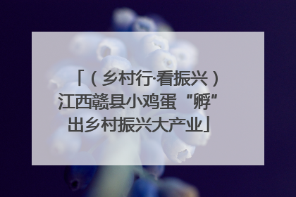 （乡村行·看振兴）江西赣县小鸡蛋“孵”出乡村振兴大产业