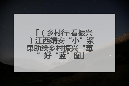（乡村行·看振兴）江西靖安“小”浆果助绘乡村振兴“莓”好“蓝”图