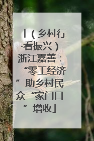 （乡村行·看振兴）浙江嘉善：“零工经济”助乡村民众“家门口”增收