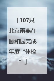 107只北京雨燕在颐和园完成年度“体检”