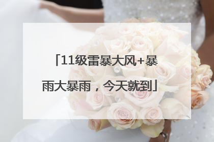 11级雷暴大风+暴雨大暴雨，今天就到
