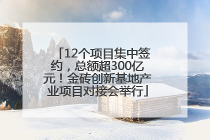 12个项目集中签约，总额超300亿元！金砖创新基地产业项目对接会举行