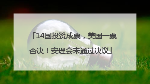 14国投赞成票，美国一票否决！安理会未通过决议