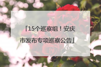 15个巡察组！安庆市发布专项巡察公告