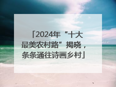 2024年“十大最美农村路”揭晓，条条通往诗画乡村