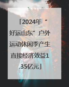2024年“好运山东”户外运动休闲季产生直接经济效益1.35亿元