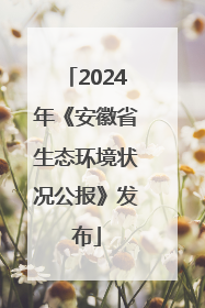 2024年《安徽省生态环境状况公报》发布