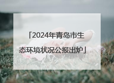 2024年青岛市生态环境状况公报出炉