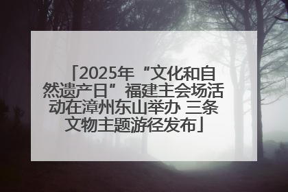 2025年“文化和自然遗产日”福建主会场活动在漳州东山举办 三条文物主题游径发布